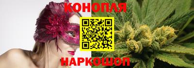 гидра Моздок