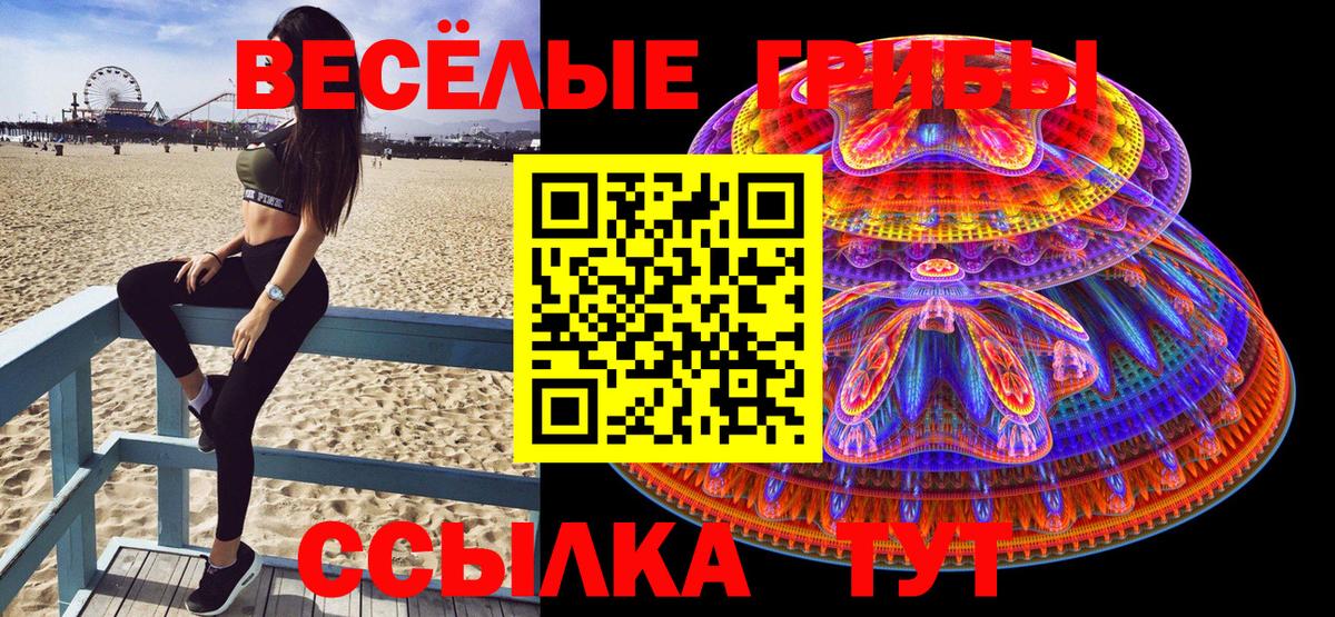 Псилоцибиновые грибы ЛСД  Псилоцибиновые грибы Cubensis  Щёлково  Вход с VPN 